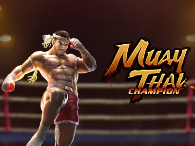 Muay Thai Champion