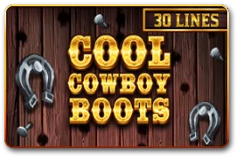 Cool Cowboy Boots