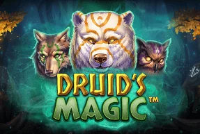Druid’s Magic