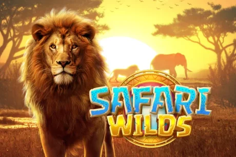 Safari Wilds