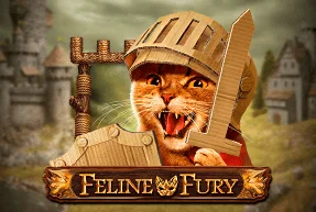 Feline Fury