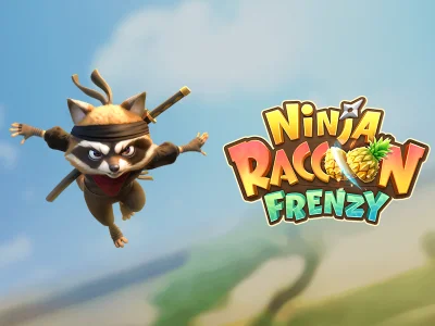 Ninja Raccoon Frenzy