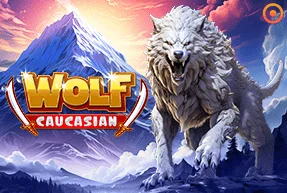 Caucasian Wolf
