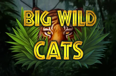 Big Wild Cats
