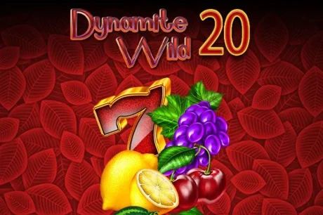 Dynamite Wild 20