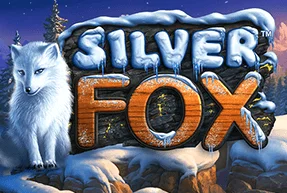 Silver Fox