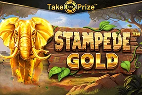 STAMPEDE GOLD