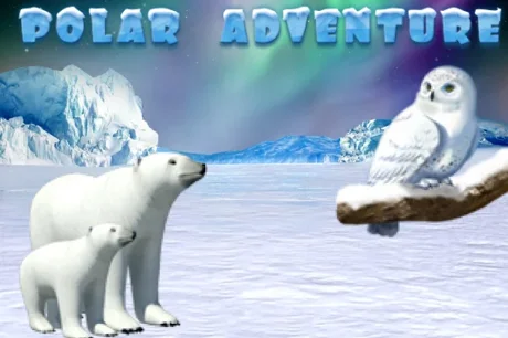 Polar Adventure HD