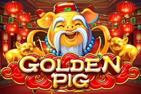 Golden Pig