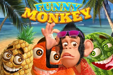 Funny Monkey