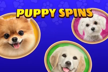 Puppy Spins