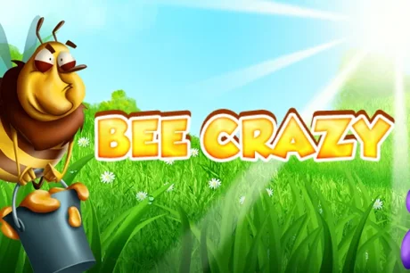 Bee Crazy HD