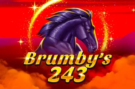 Brumby's 243