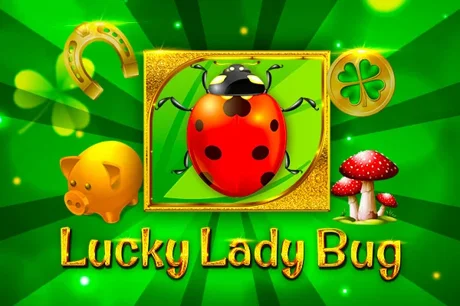 Lucky Lady Bug
