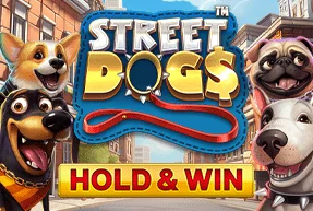 Street dogs