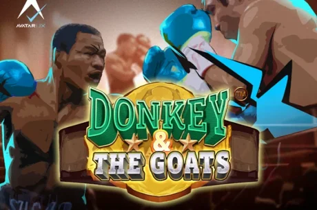 Donkey and The GOATS