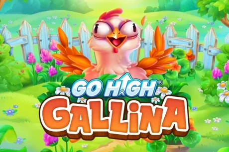 Go High Gallina