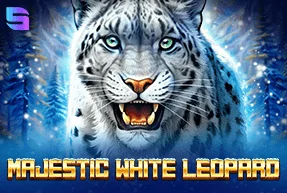 Majestic White Leopard