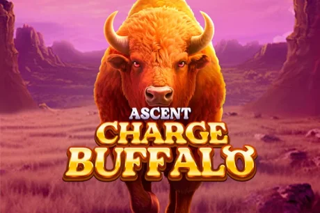 Charge Buffalo-ASCENT