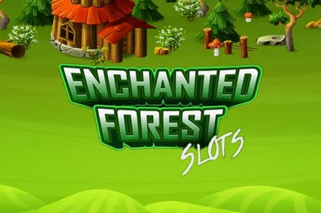 Enchanted Forest
