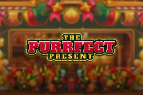 The Purrfect Present