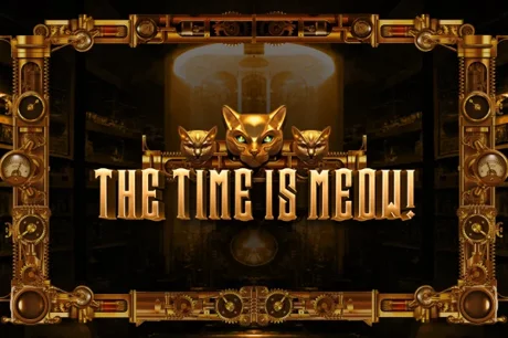 The Time Is Meow