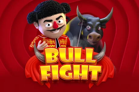 Bull Fight