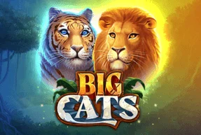 Big Cats