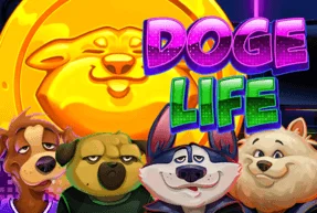 Doge Life