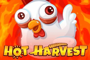 Hot Harvest