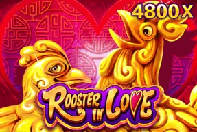 Rooster In Love