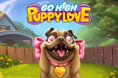 Go High Puppy Love