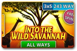 Into the Wild Savannah