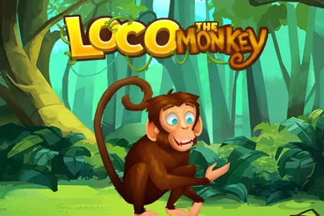 Loco the Monkey