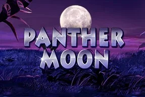 Panther Moon