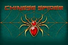 Chinese Spider