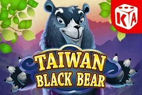 Taiwan Black Bear