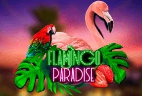 Flamingo Paradise