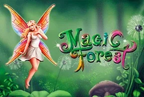 Magic Forest