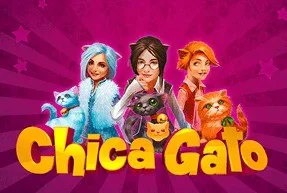 Chica Gato