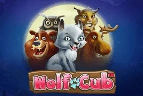 Wolf Cub