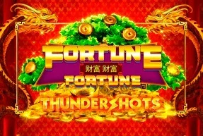 Fortune Fortune Thundershots