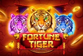 Fortune Tiger