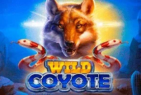 Wild Coyote
