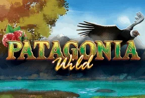 Patagonia Wilds