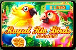Royal Rio Birds