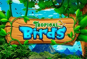 Tropical Birds