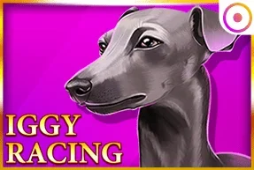 Iggy Racing