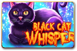 Black Cat Whisper