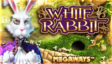 White Rabbit